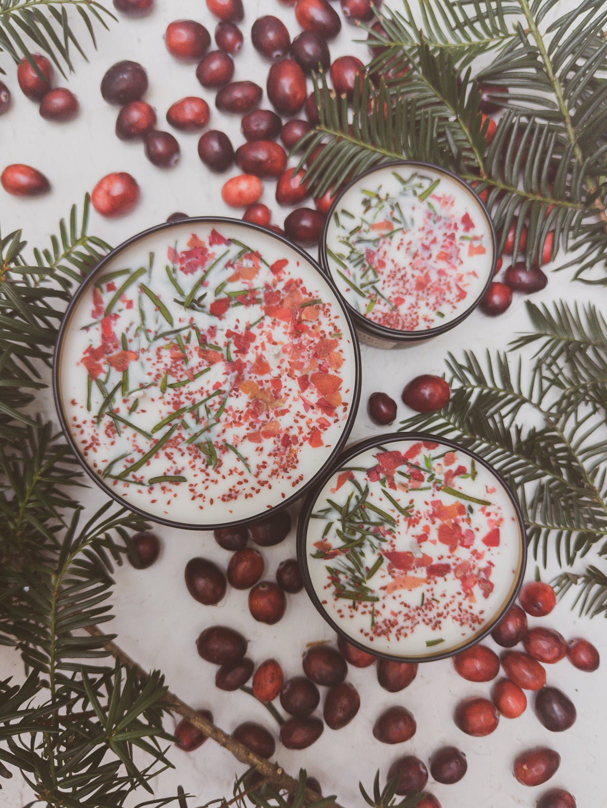 GATHER HERE Cranberry Pine Candle from Ash & Rose
