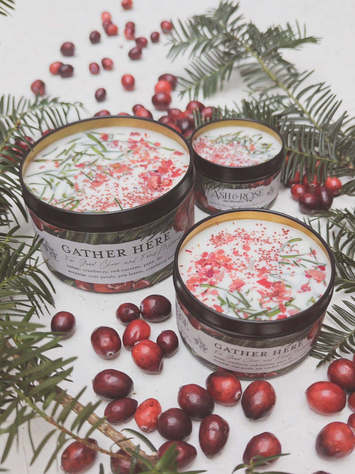 GATHER HERE Cranberry Pine Candle from Ash & Rose