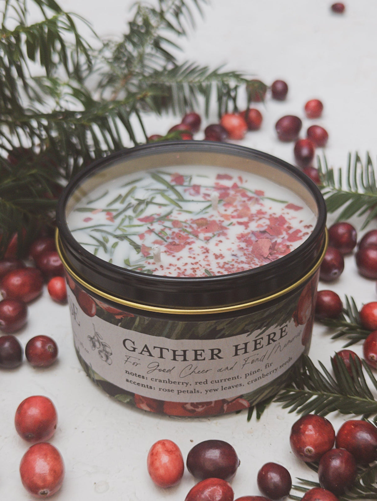 GATHER HERE Cranberry Pine Candle from Ash & Rose