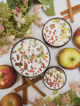 HARVEST Apple Spice Candle from Ash & Rose