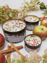 HARVEST Apple Spice Candle from Ash & Rose