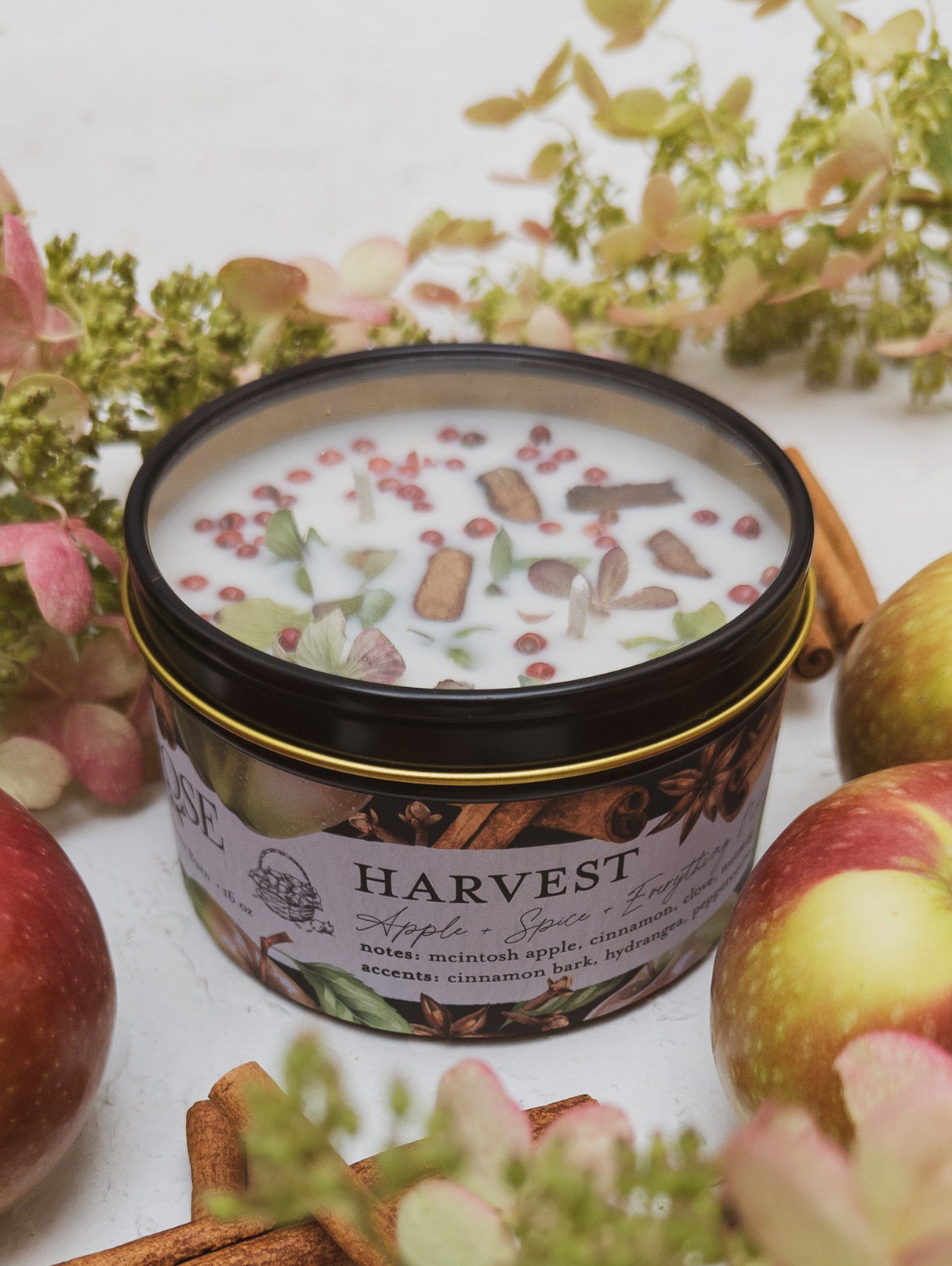 HARVEST Apple Spice Candle from Ash & Rose