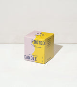 Rooted Candles from Modern Sprout