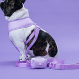 Frenchie Poo Bag Holder - Lavender from Frenchie Bulldog