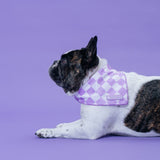 Frenchie Cooling Bandana - Lavender from Frenchie Bulldog