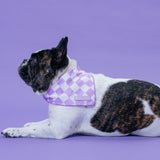 Frenchie Cooling Bandana - Lavender from Frenchie Bulldog