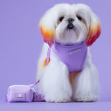 Frenchie Poo Bag Holder - Lavender from Frenchie Bulldog