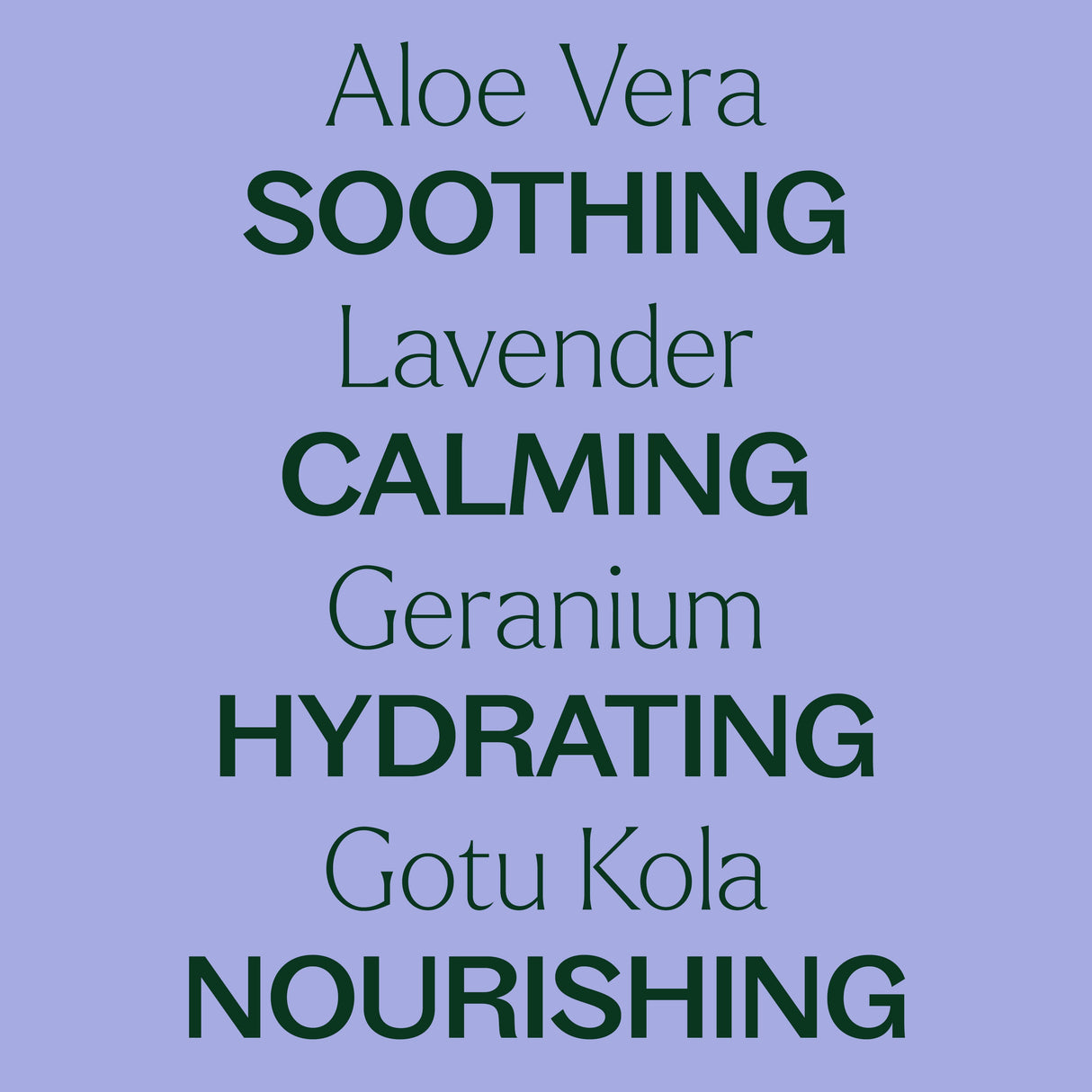 Lavender Aloe Vera Jelly from Plant Therapy