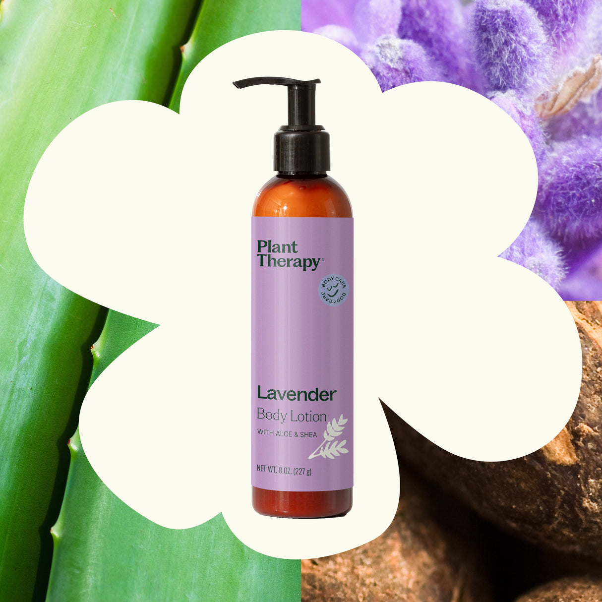 Lavender Body Lotion with Aloe and Shea from Plant Therapy
