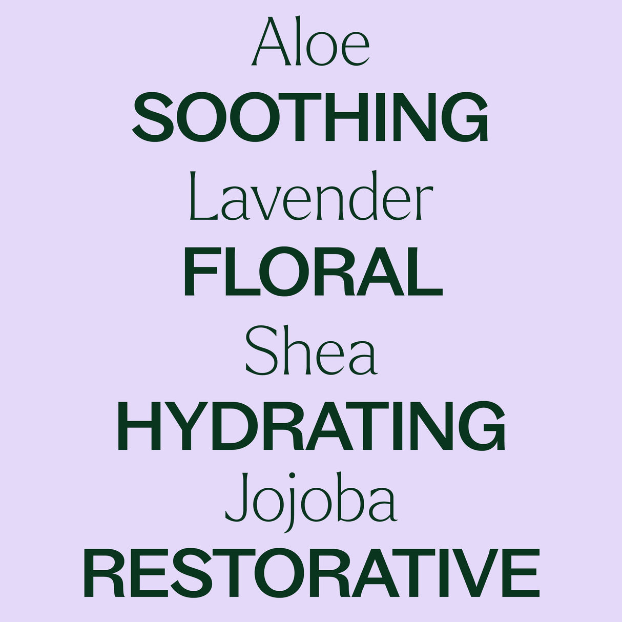 Lavender Body Lotion with Aloe and Shea from Plant Therapy