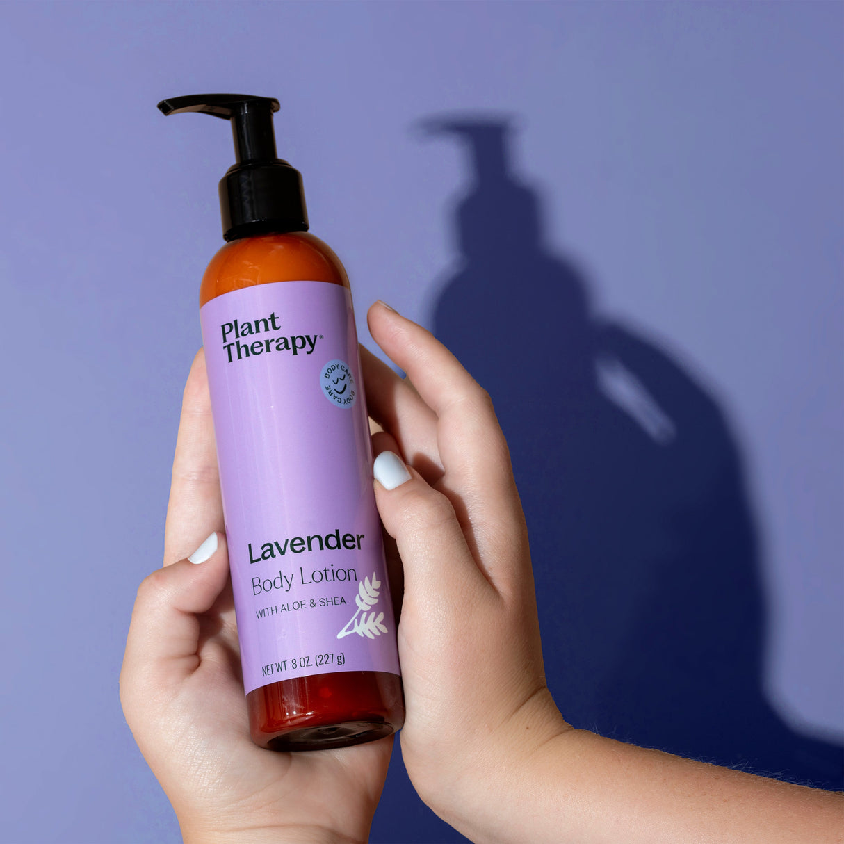 Lavender Body Lotion with Aloe and Shea from Plant Therapy