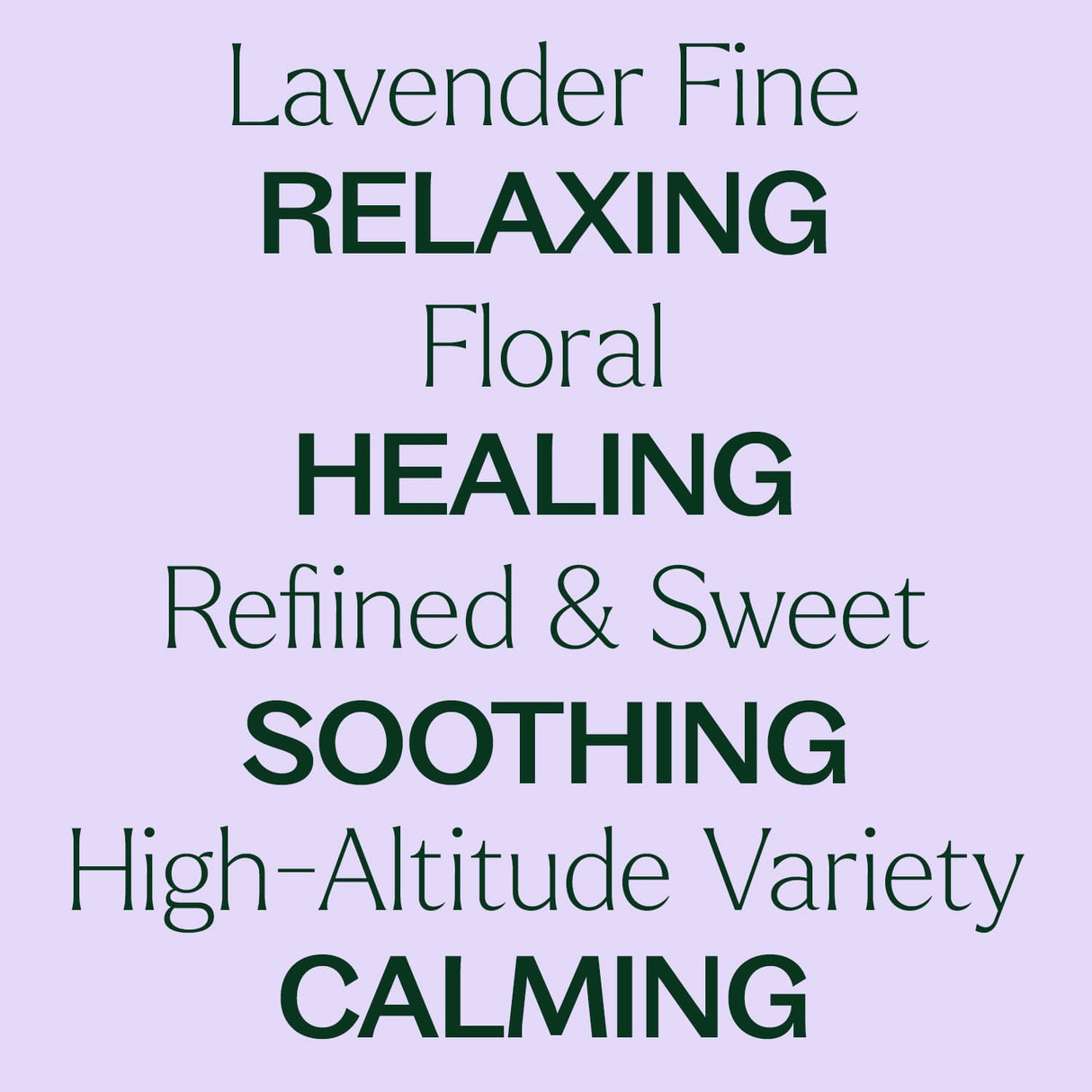 Lavender Fine Essential Oil from Plant Therapy