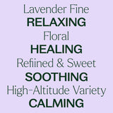 Lavender Fine Essential Oil from Plant Therapy