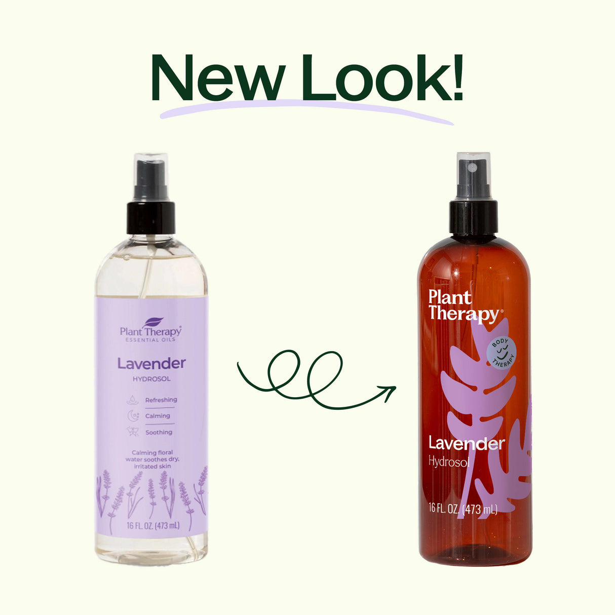 Lavender Hydrosol from Plant Therapy