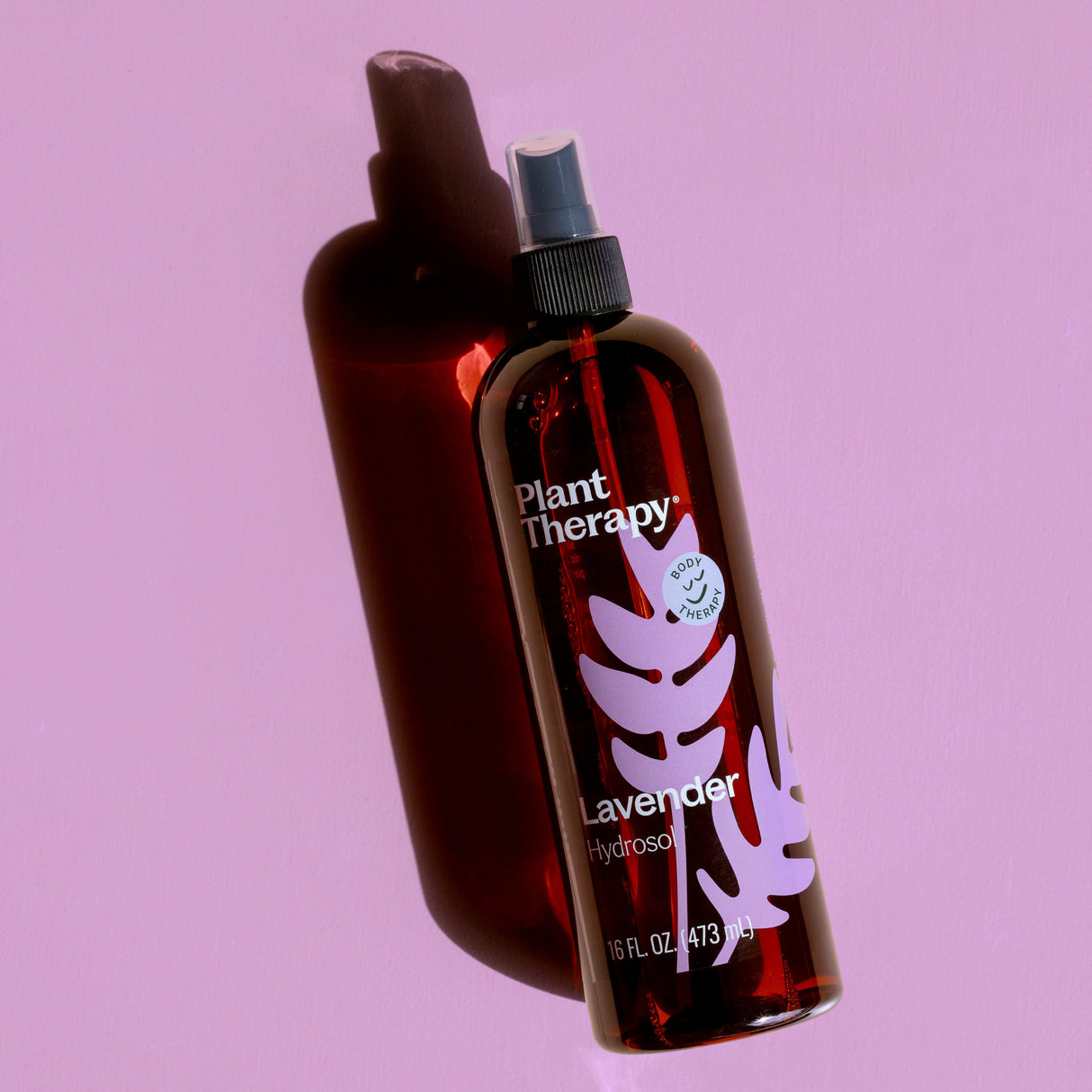Lavender Hydrosol from Plant Therapy