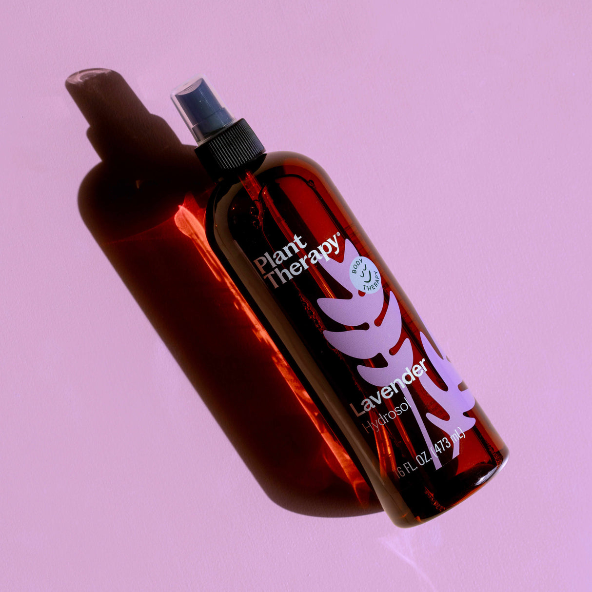 Lavender Hydrosol from Plant Therapy