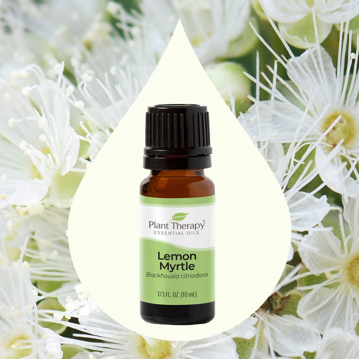 Lemon Myrtle Essential Oil from Plant Therapy