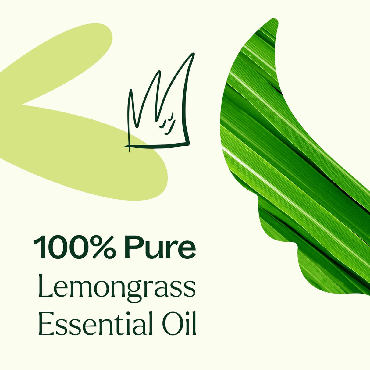 Lemongrass Essential Oil from Plant Therapy