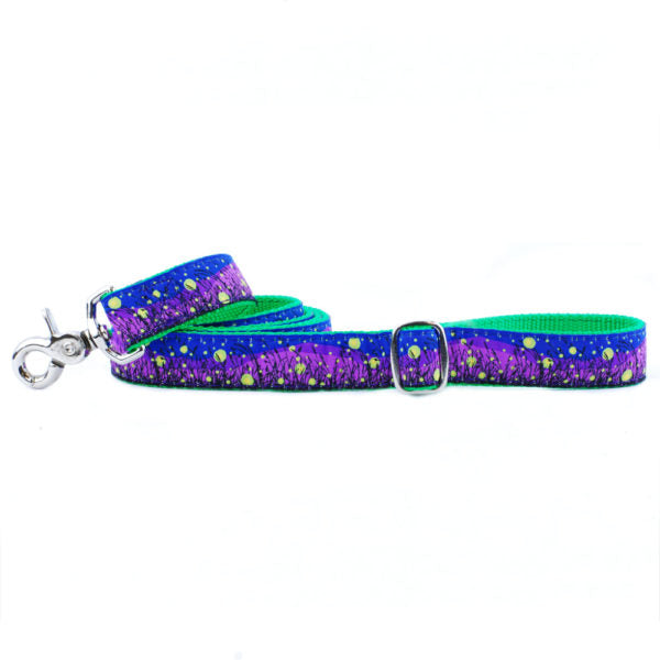 1″ Lightning Bugs Ribbon Dog Leash from 2 Hounds Design