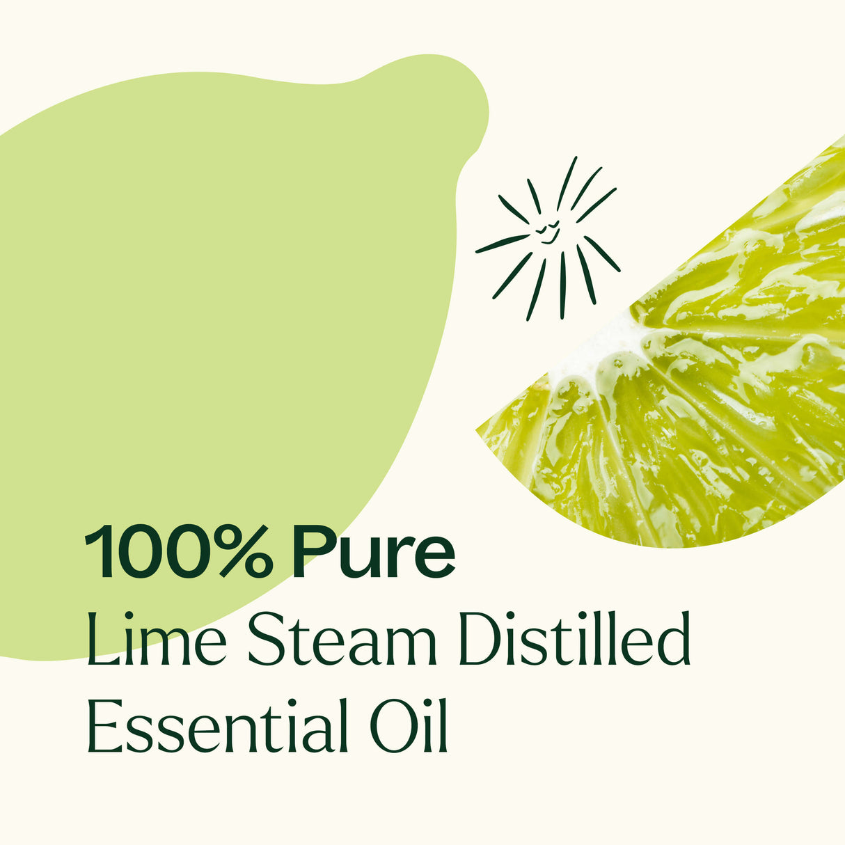Lime Steam Distilled Essential Oil from Plant Therapy