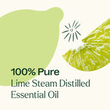 Lime Steam Distilled Essential Oil from Plant Therapy