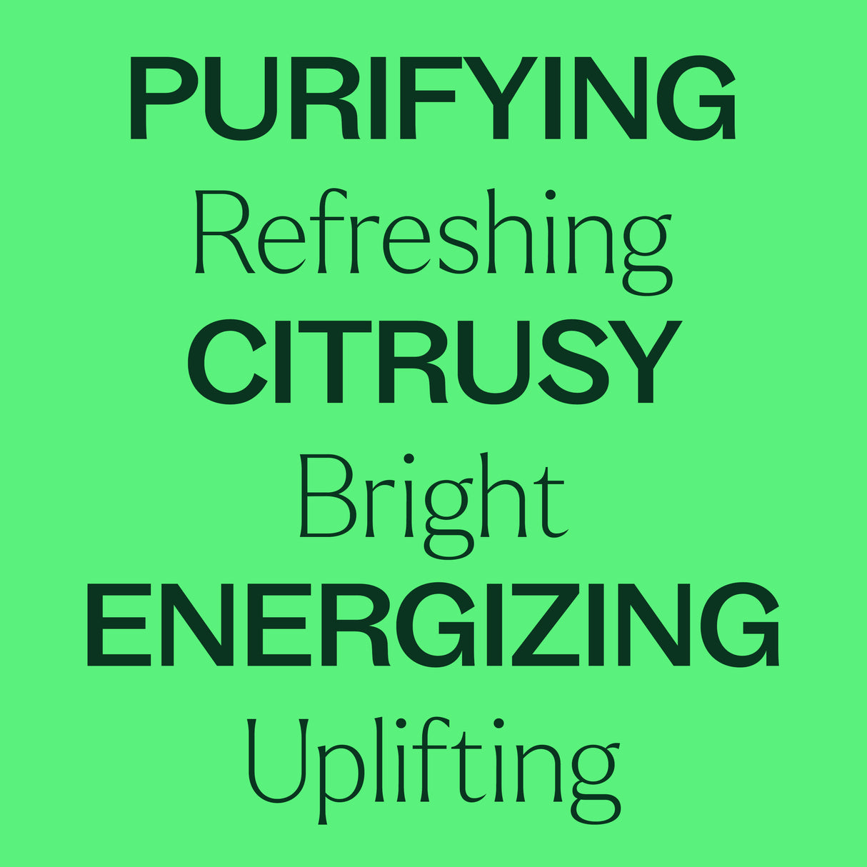 Lime Steam Distilled Essential Oil from Plant Therapy
