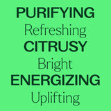 Lime Steam Distilled Essential Oil from Plant Therapy