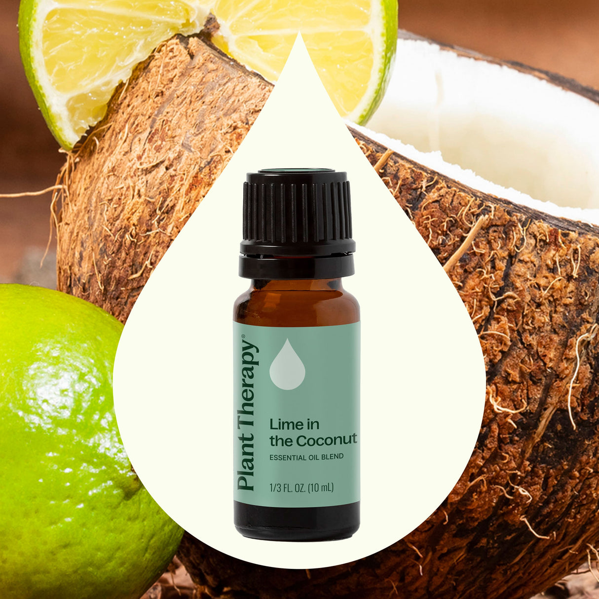 Lime in the Coconut Essential Oil Blend from Plant Therapy