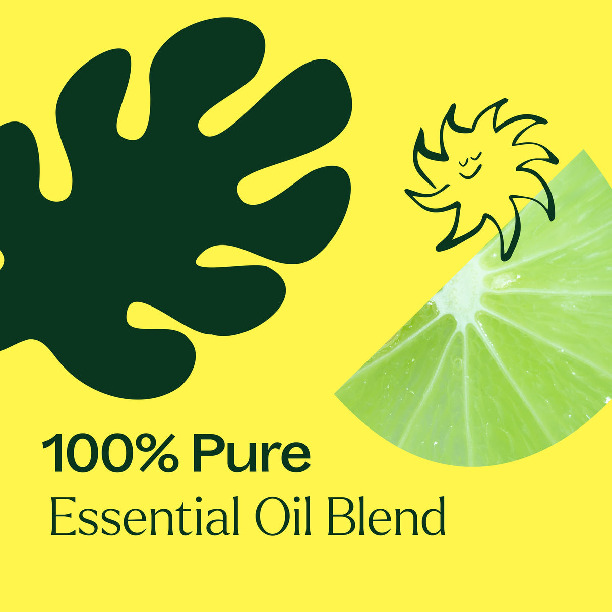 Lime in the Coconut Essential Oil Blend from Plant Therapy
