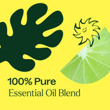 Lime in the Coconut Essential Oil Blend from Plant Therapy