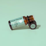 Lime in the Coconut Essential Oil Blend from Plant Therapy