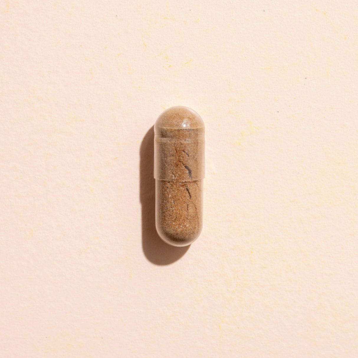 Lion's Mane Herbal Supplement - 120 Capsules from Plant Therapy