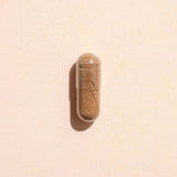Lion's Mane Herbal Supplement - 120 Capsules from Plant Therapy