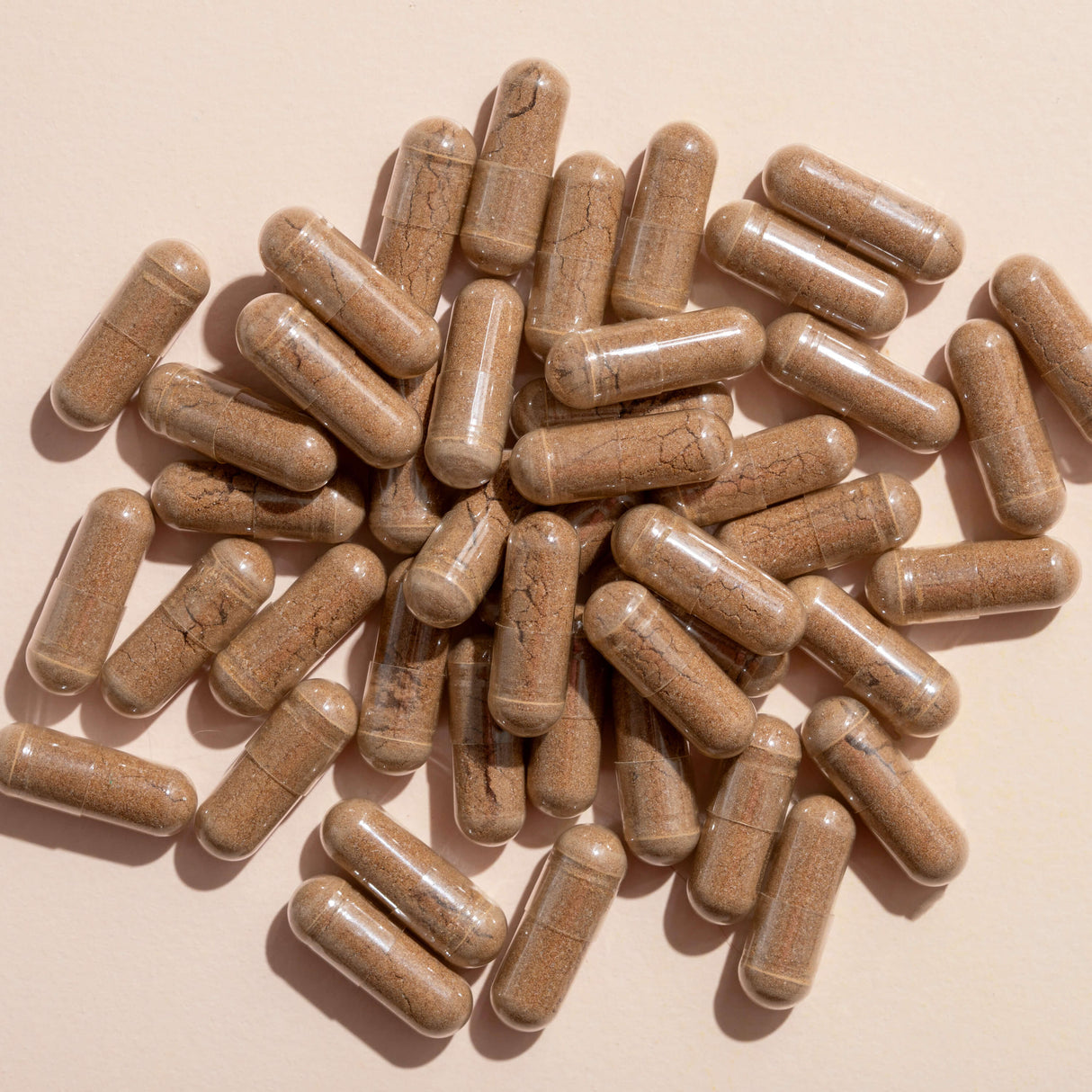 Lion's Mane Herbal Supplement - 120 Capsules from Plant Therapy