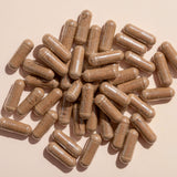 Lion's Mane Herbal Supplement - 120 Capsules from Plant Therapy