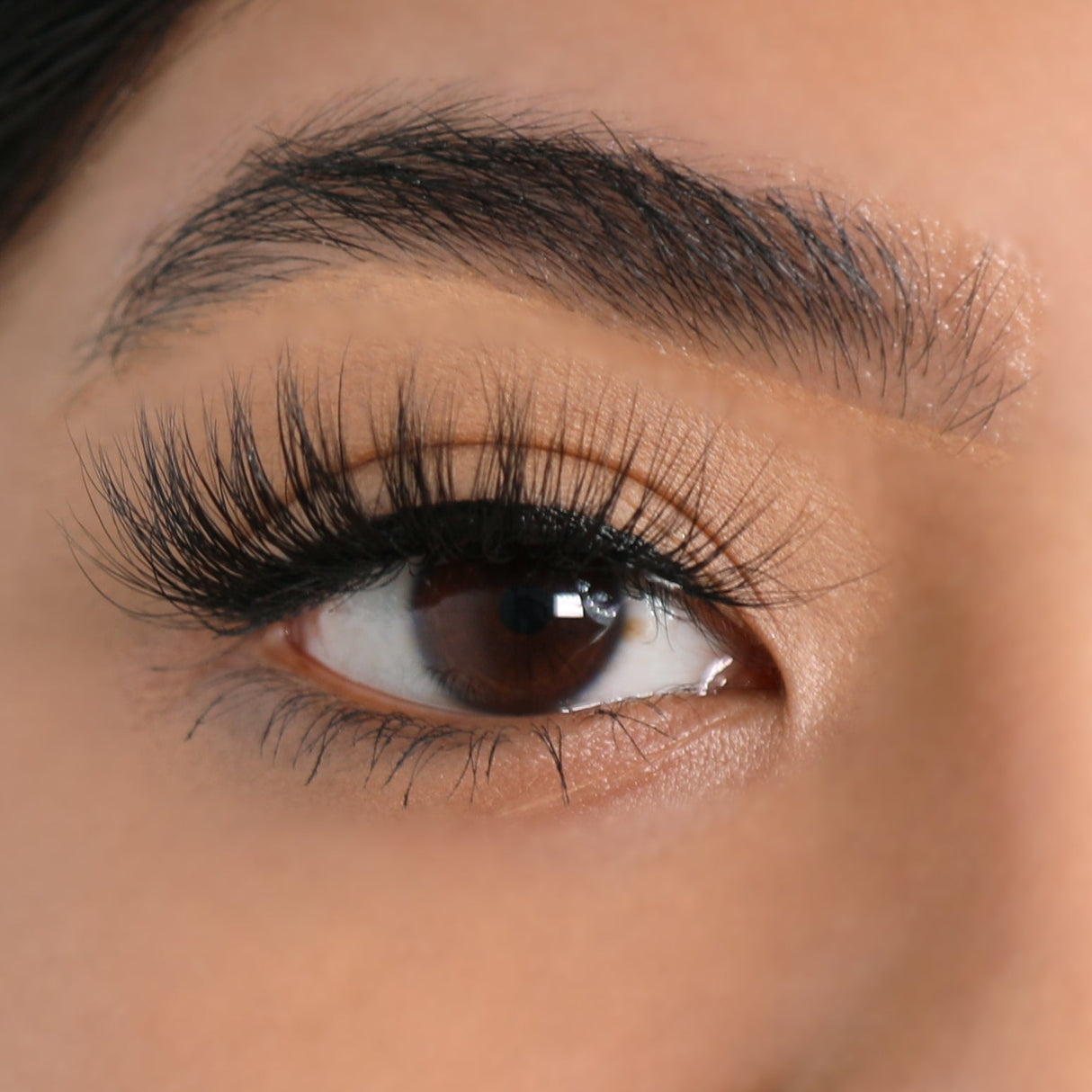 Mink 3D Eyelashes - Limitless from Lurella Cosmetics