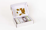 Earthy Shower Steamer Gift Box for Men and Women, Set of 12 Shower Steamers Package from Lizush