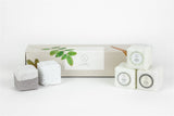 Earthy Shower Steamer, Refreshing Gift Box for Men and Women, Set of 5 Shower Steamers from Lizush