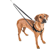 Raspberry Freedom No-Pull Dog Harness from 2 Hounds Design