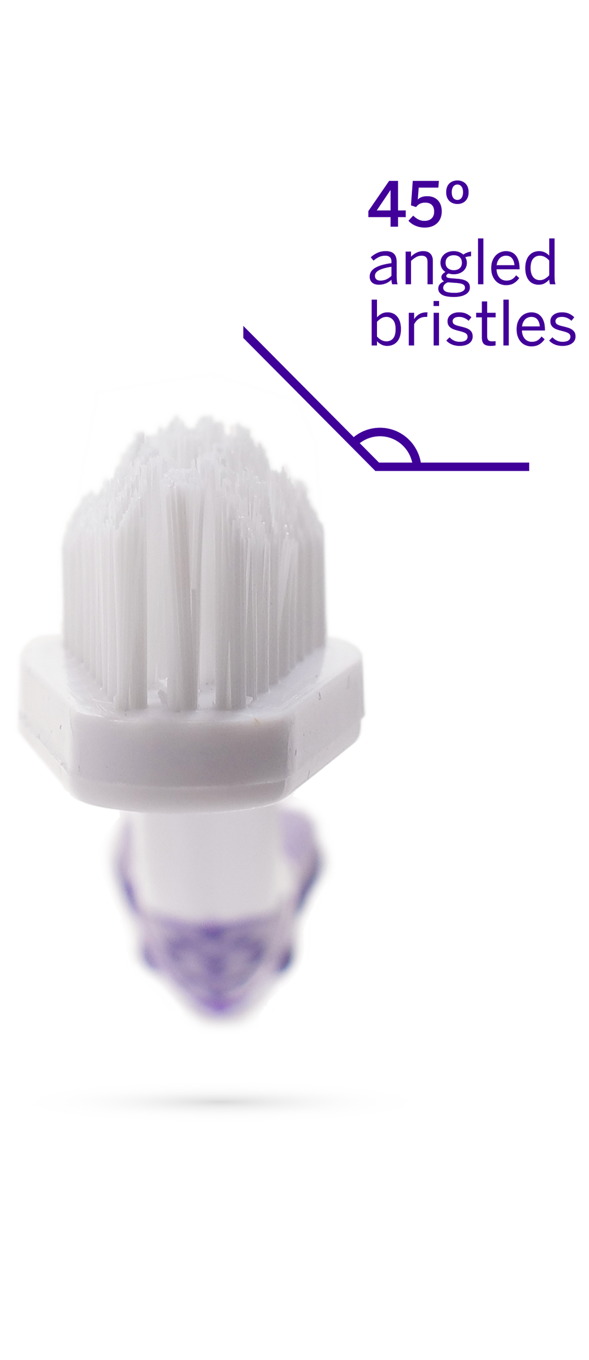 Professional Toothpaste London Broil Small & Professional Pet Toothbrush from petsmile