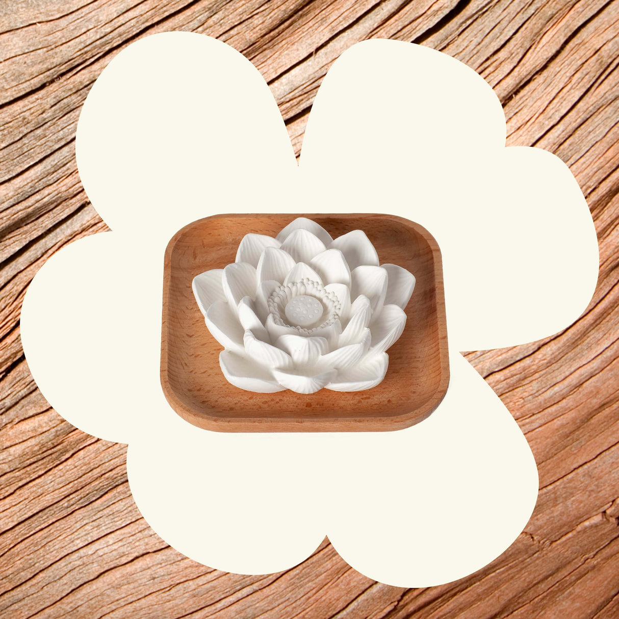 Passive Lotus Diffuser from Plant Therapy