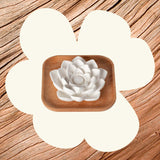 Passive Lotus Diffuser from Plant Therapy