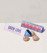 Bright Side Seed Balls from Modern Sprout