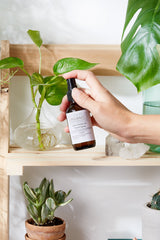 Love Potion #2 Organic Toilet Spray / Modesty Spray / Odor Spray / Bathroom Spray / Essential Oil Spray / Stink Spray  from Butter Me Up Organics