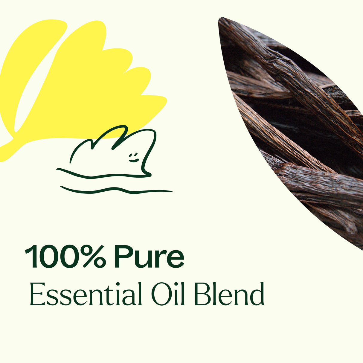 Love Vanilla Essential Oil Blend from Plant Therapy