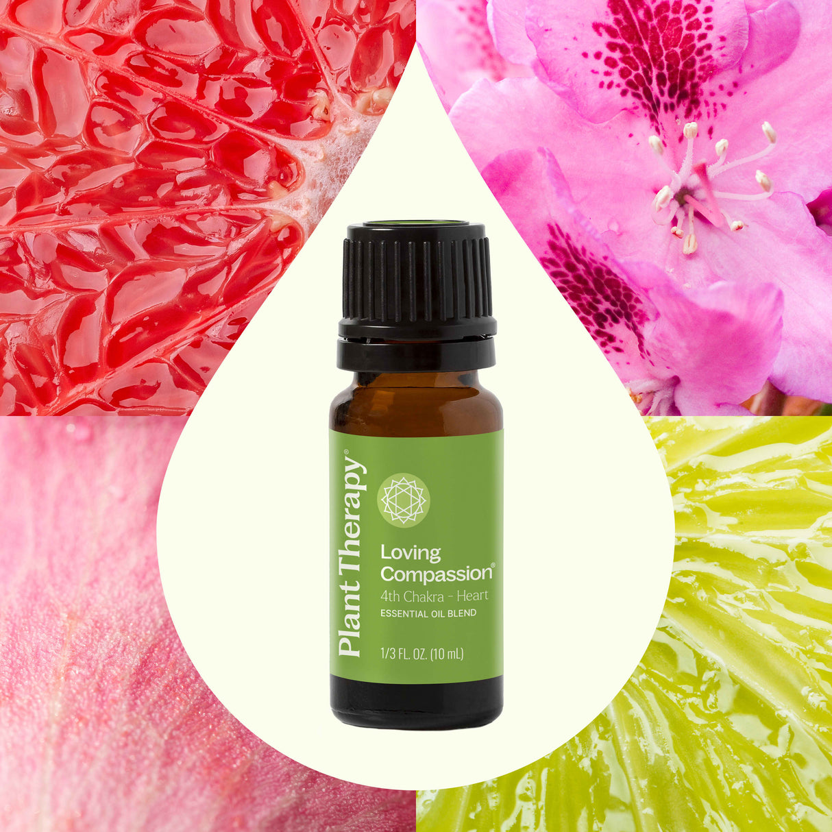 Loving Compassion (Heart Chakra) Essential Oil from Plant Therapy