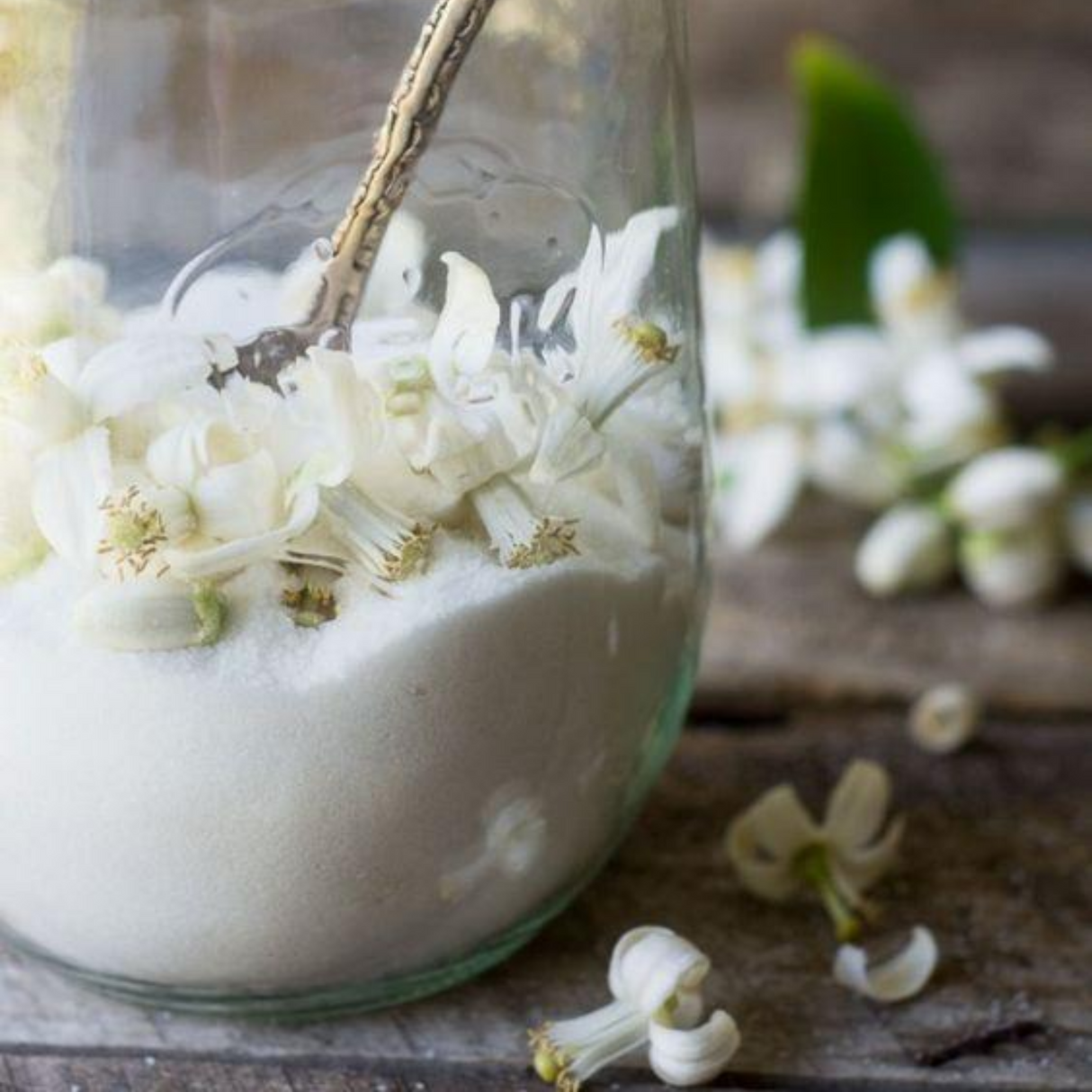 Alkmar from Wicked Good Perfume