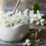 Alkmar from Wicked Good Perfume