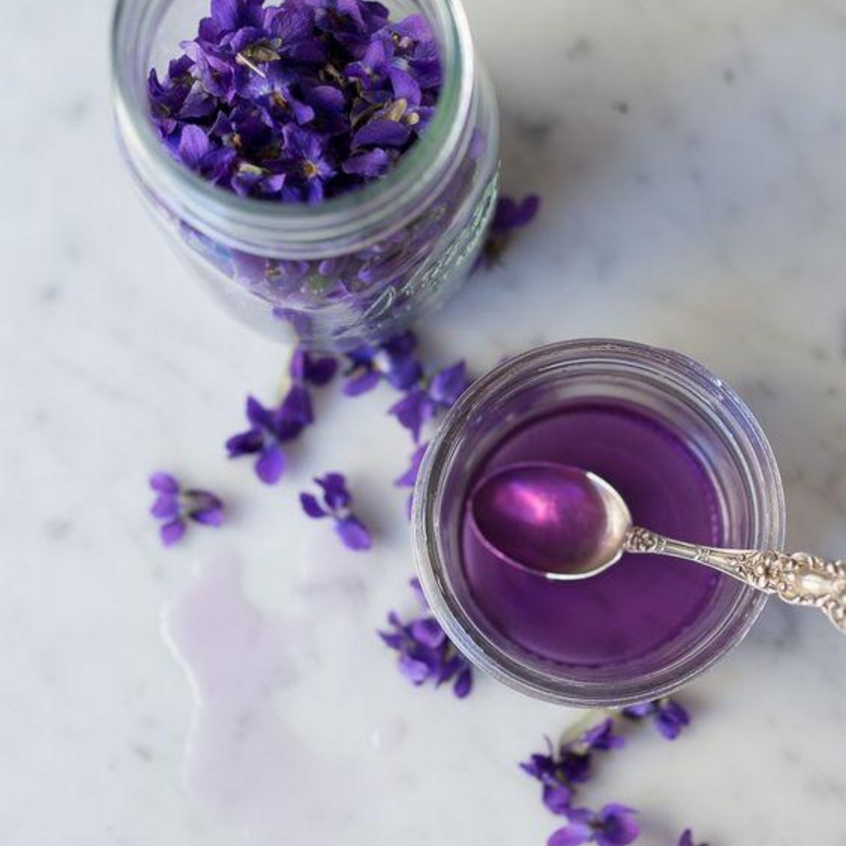 Kerbside Violet from Wicked Good Perfume