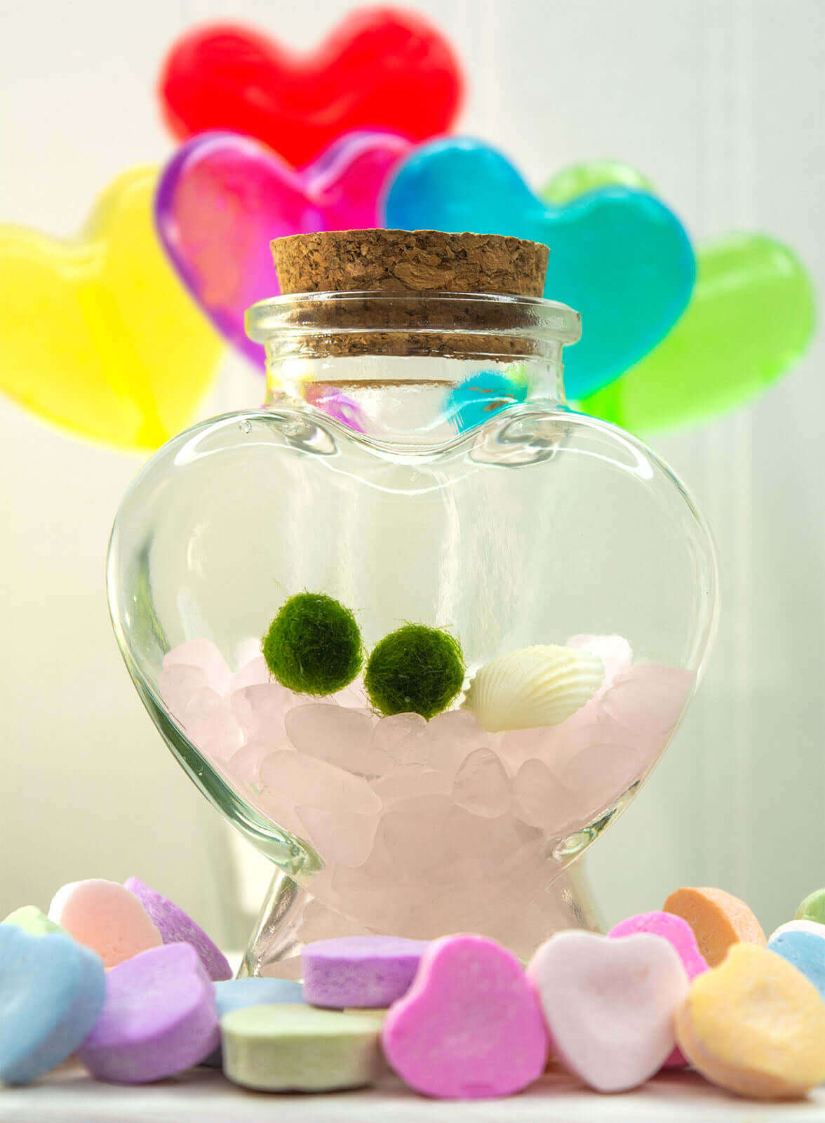 Heart Terrarium with Two Nano Moss Ball Pets from Moss Ball Pets™